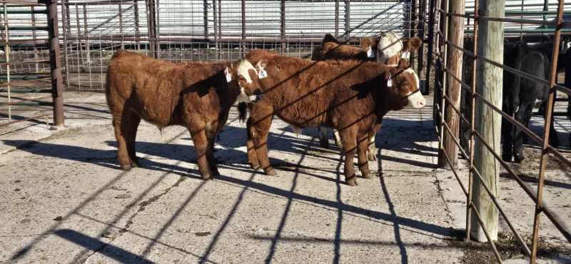 Agriculture News